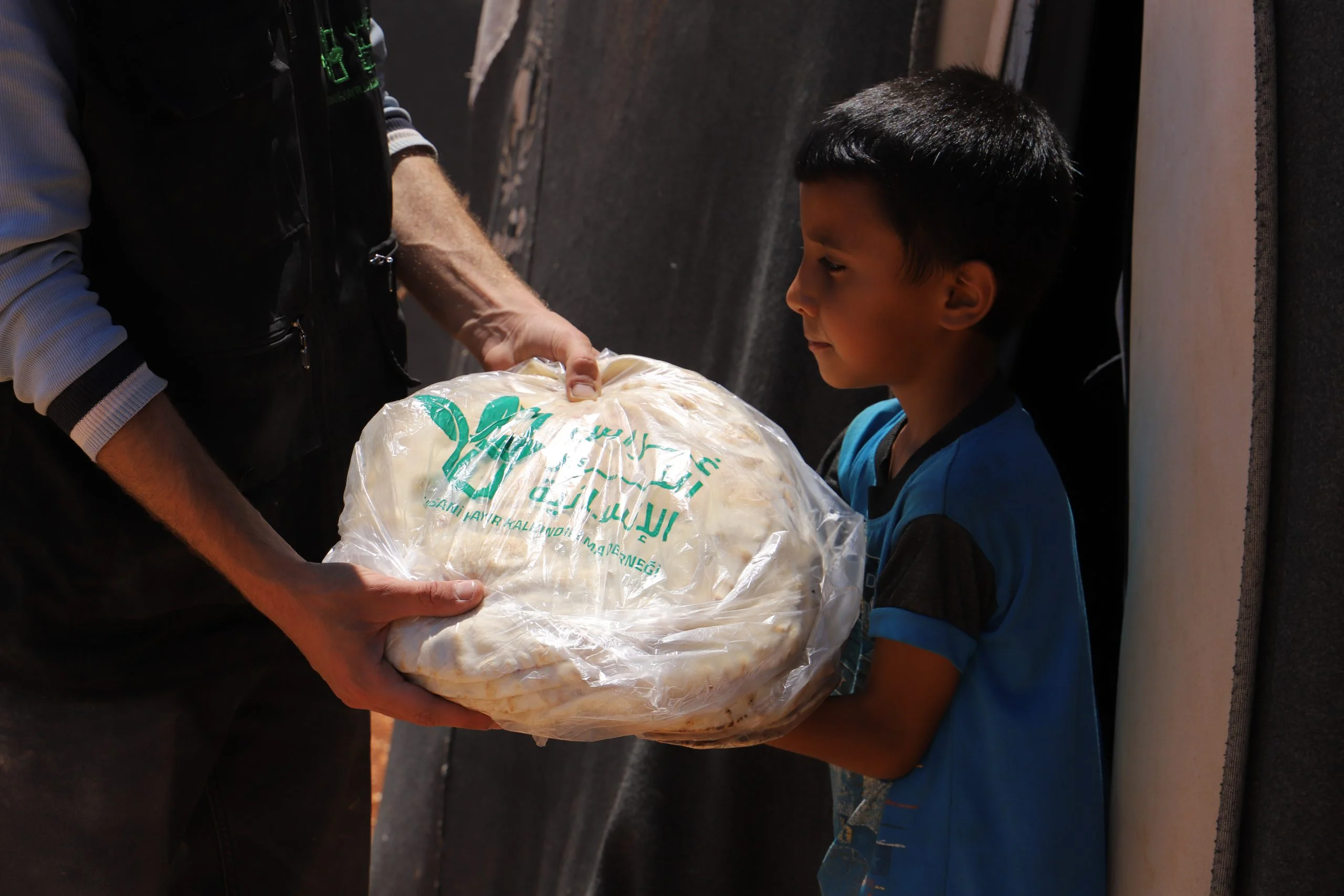 الأمن الغذائي