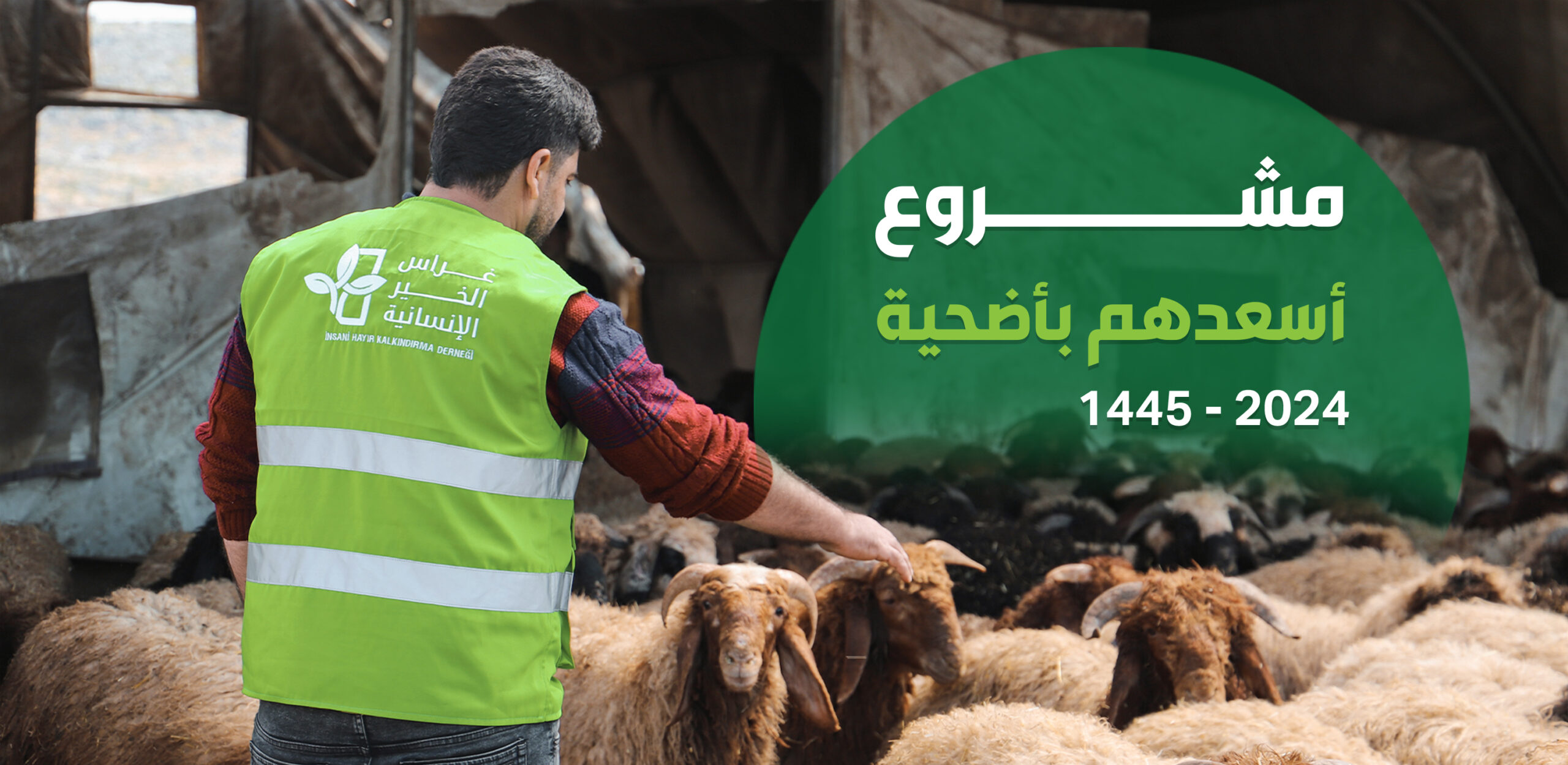 “أسعدهم بأضحية 11”.. حملة عيد الأضحى لأهالي المخيمات