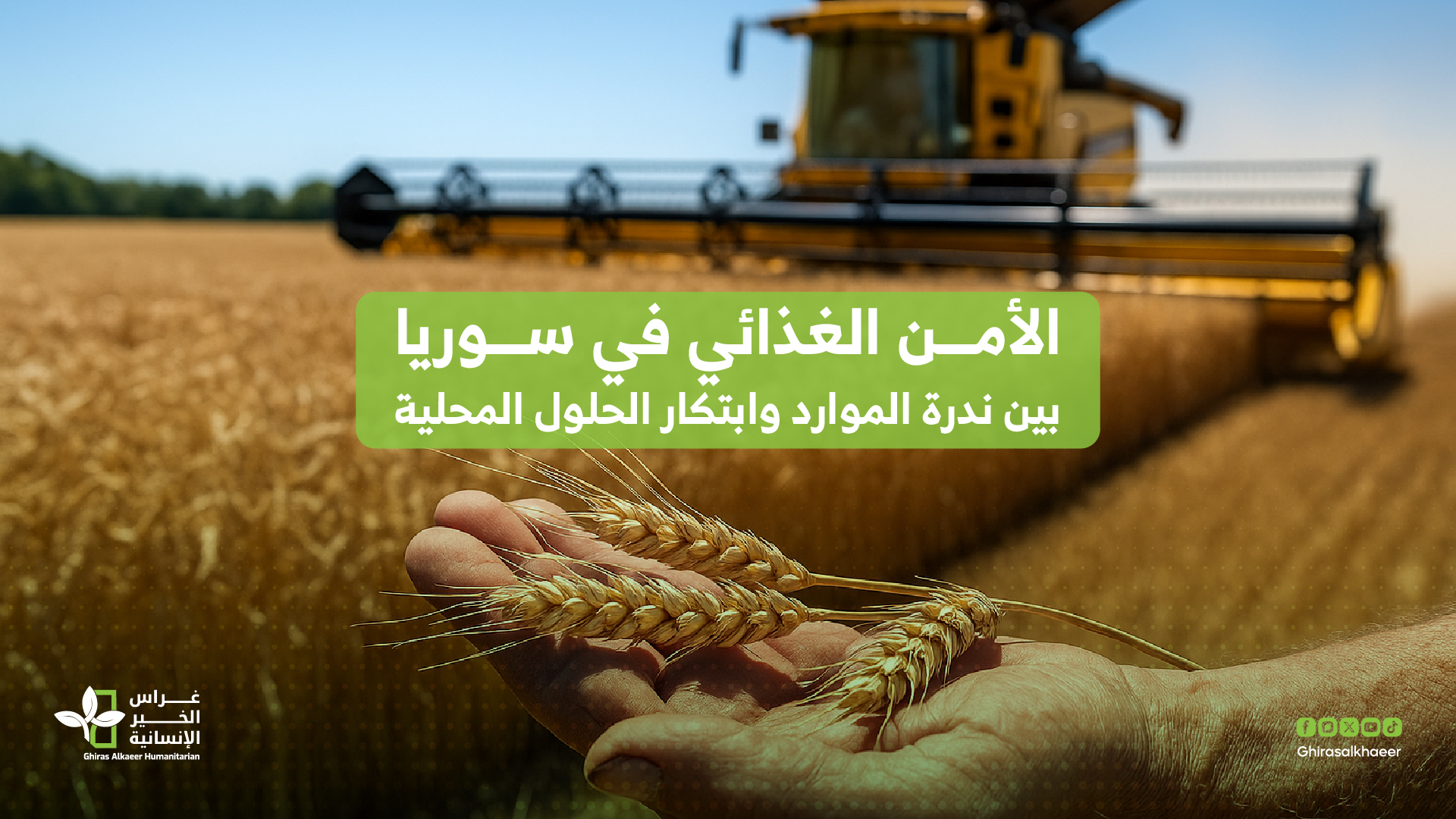 الأمن الغذائي في سوريا: بين ندرة الموارد وابتكار الحلول المحلية