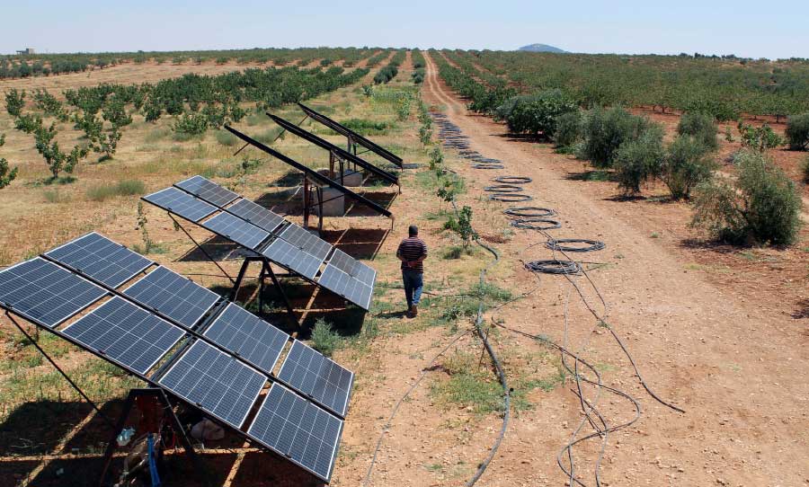 دور الجهات الدولية والمحلية والشراكات