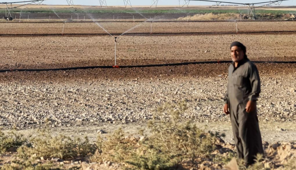 التحديات الرئيسية التي تواجه المزارعين السوريين