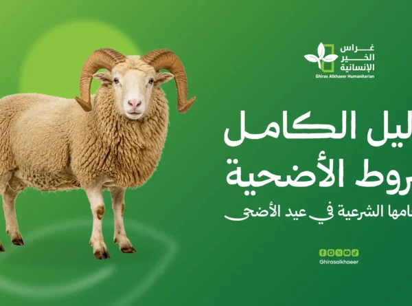 الدليل الكامل لشروط الأضحية وأحكامها الشرعية في عيد الأضحى
