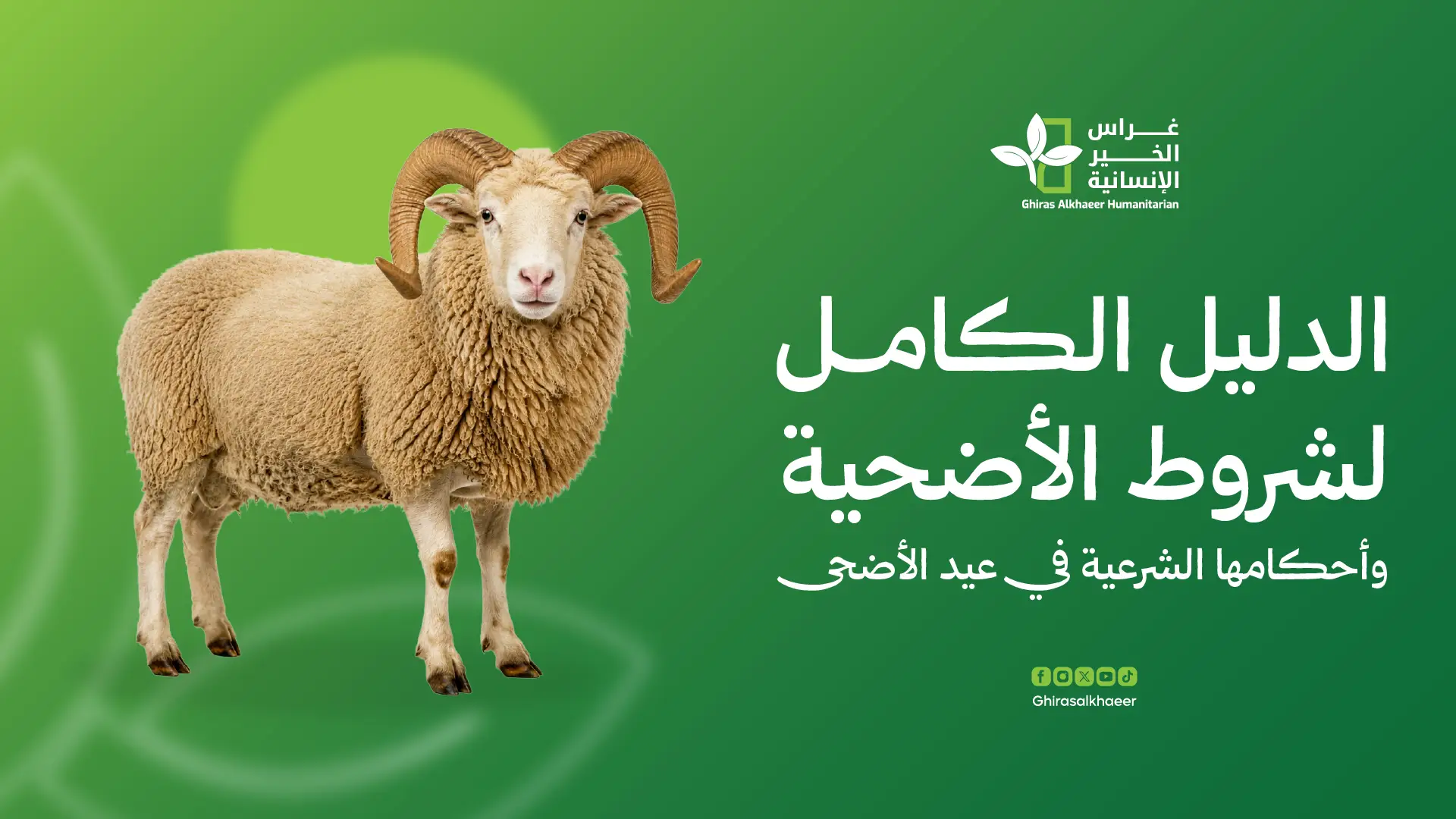 الدليل الكامل لشروط الأضحية وأحكامها الشرعية في عيد الأضحى